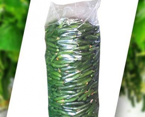 کیسه-ته-دوز